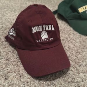 Montana grizzlies hat